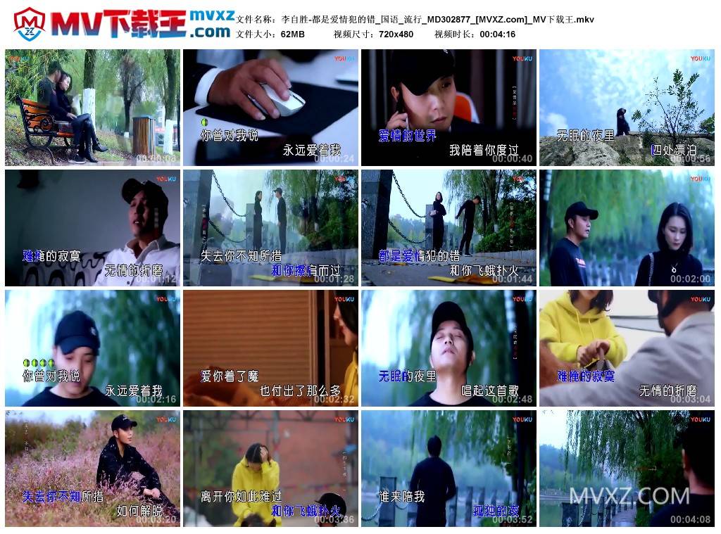 李自胜-都是爱情犯的错_国语_流行_MD302877